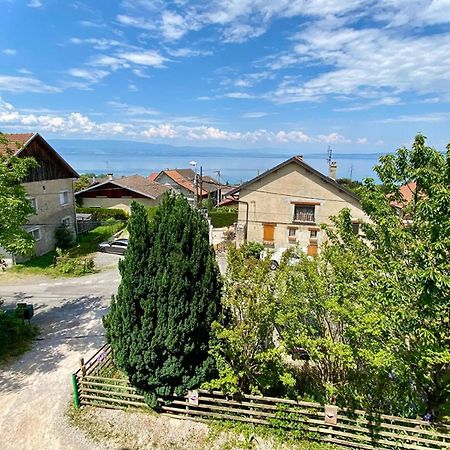Apartamento Chambre privée à 10mn du lac et stations de ski Publier Exterior foto